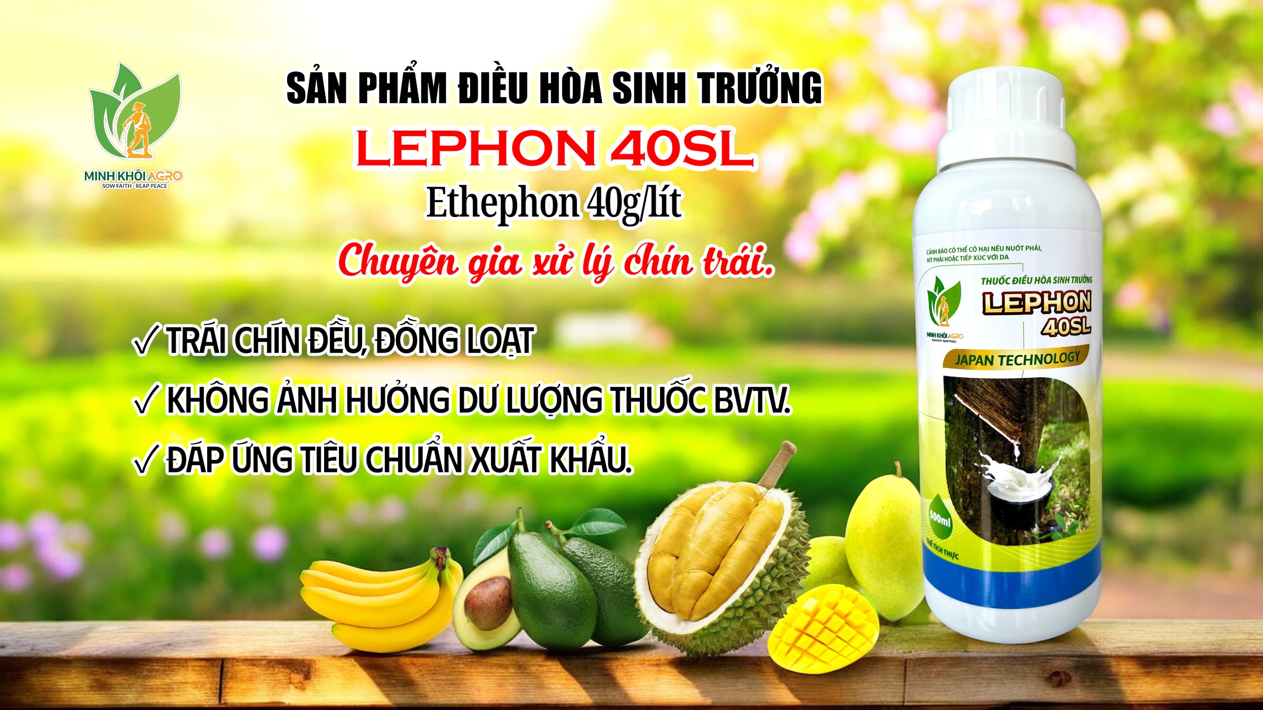 🚨 TRÁI CHÍN ĐỒNG LOẠT – CHỐT GIÁ CAO NGAY TẠI VƯỜN. BÍ QUYẾT NÀO ĐANG ĐƯỢC NHÀ VƯỜN VÀ THƯƠNG LÁI ÁP DỤNG?